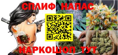 стафф Нальчик