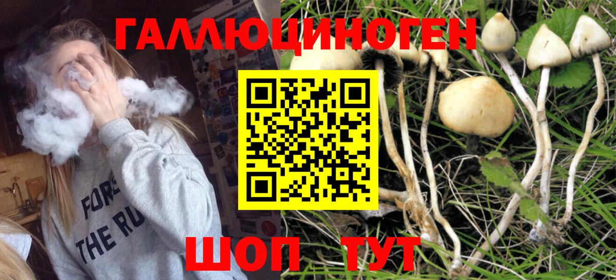 Сыктывкар  Галлюциногенные грибы GOLDEN TEACHER  Вход с VPN 