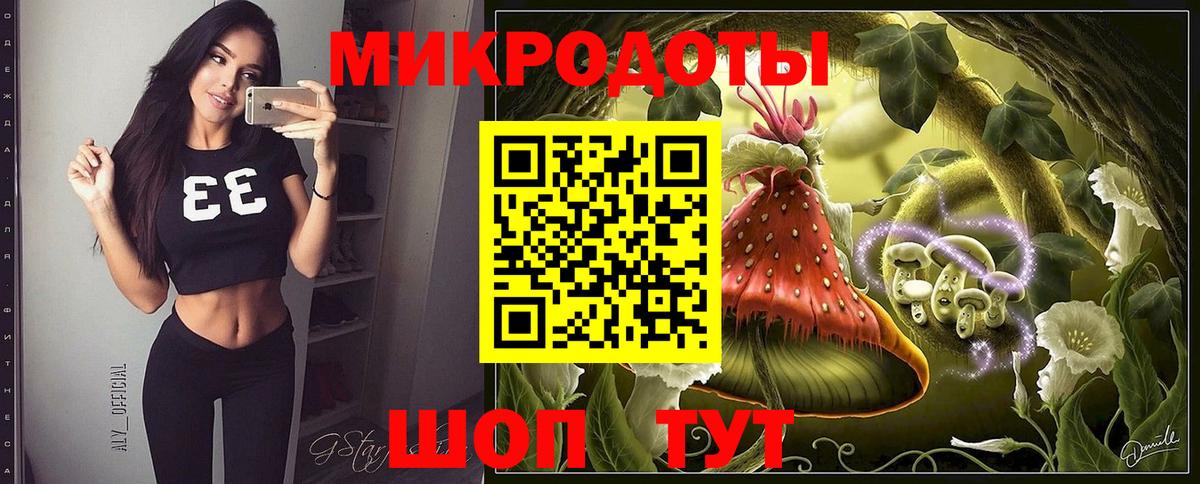 Галлюциногенные грибы Psilocybine cubensis Сыктывкар